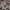 GettyImages-2187624745-scaled