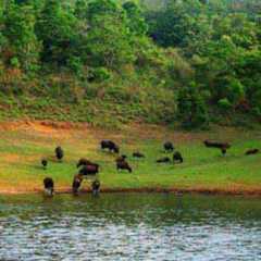 Southern India Package