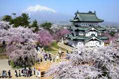 桜に埋もれる弘前城天守と雪の岩木山のコラボに感動【青森県】 | JTBリモートコンシェルジュ トラベルコンサルタントのおすすめ旅