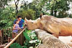 シンガポールが世界に誇る3大動物園【シンガポール】