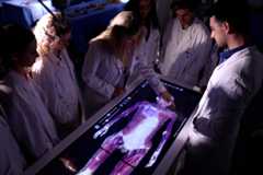 Medicina es la rama con un mayor número de alumnos cursando posgrados (son el 37%).