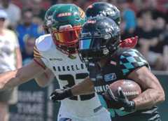 Un acción del partido Ravens-Dragons que acabó 90-0 el pasado agosto.