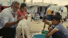 Imagen de Ciudad sin sueño, de Guillermo Galoe.