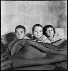 Fotografía de Paul Senn.