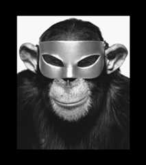 Un mono con máscara de una célebre serie que Albert Watson realizó en 1992..