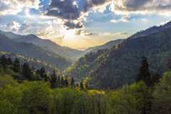 A view down a forested, clear valley