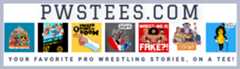 pwstees.com