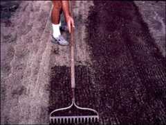 Figure 1. Hand Raking
