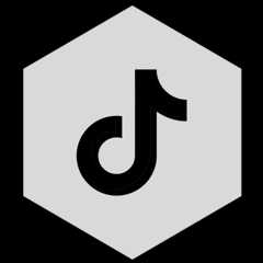 TikTok icon