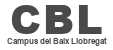 CBL, Obrir link a una finestra nova