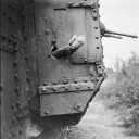 Carrier Pigeons (Portugal)