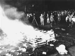 Public burning of "un-German" books in the Opernplatz.