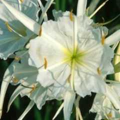 Geography & Environment