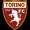 Torino Logo