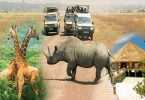 Tanzania Reduces Annual Tourism Fees