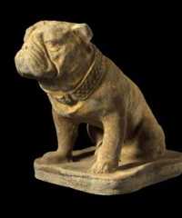 British Bulldog EG008