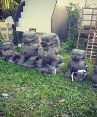 Chinese warrior lions