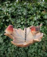 Bird Feeder - Selection