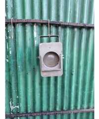 Single Strand Electric Light - 1f