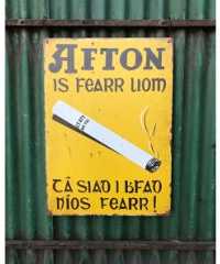 Afton - Large - Yellow