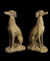 French Lurcher EG003