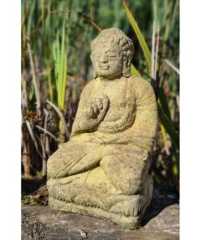 Buddha Lotus EG110 (1)