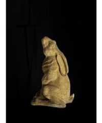 Moon Hare EG102