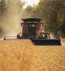 Farm harvesting equipment in soybean field