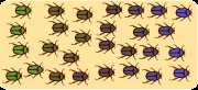 Yellow field filled with beetles. Beetles at left are green. Beetles at right are purple. Intermediate shades are in between.