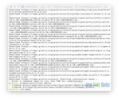 Gradle Grails - Grails run-app