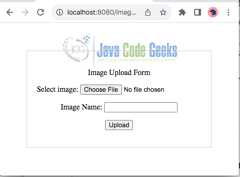 Fig 2: Image Upload form