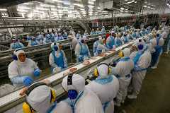 Frigorífico SIF 530 em Lapa/PR