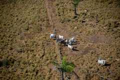 One Year After the ?Fire Day? in the Amazon - São José FarmUm Ano Após o ?Dia da Fogo na Amazônia? - Fazenda São José