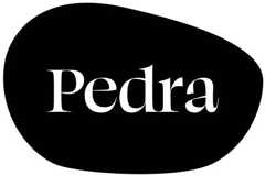 Logo Pedra, parceiro do Empreendedor Social