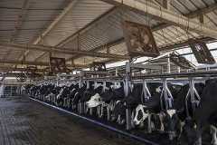 Agronegócio em SP e os efeitos da pandemia do coronavírus