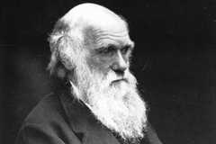 A cientista Cat Bohannon, autora de 'Eva'