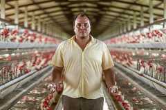 MPME - pequenos e médios produtores de ovos sobre preços altos