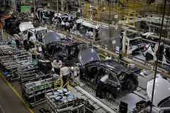 Vira-latas climáticos em tempos de COP30