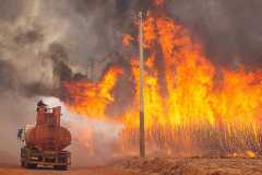 FILE PHOTO: Wildfires affecting 30 cities in Brazil's Sao Paulo state