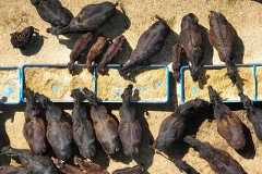 President Donald Trump announces trade deal at Oval Office event