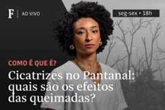 Cicatrizes no Pantanal: quais são os efeitos das queimadas?