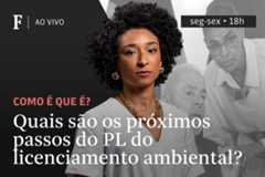 Quais são os próximos passos do PL do licenciamento ambiental?