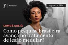 Como pesquisa brasileira avança no tratamento de lesão medular?