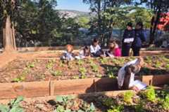 4 a cada 10 escolas municipais de SP têm hortas pedagógicas
