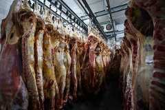 FILE PHOTO: Where's the beef? Argentine steak exports slide as strong peso inflates costs