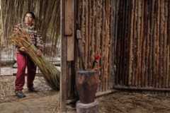 Projeto coloca conhecimentos indígenas em harmonia com outros saberes na escola