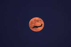 A Binter company's plane crosses the super moon known as the Hunter's Moon, in Aguimes on the island of Gran Canaria