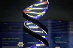 MUSEU CATAVENTO FERIAS JULHO