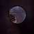 loboptolemy thumbnail