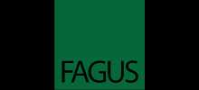 Fagus grupa
